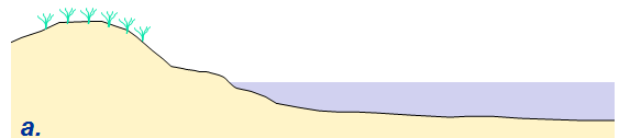 Strandlinjens läge Figur 13 Dagens situation. Strandprofilen har funnit ett jämviktsläge, och ett specifikt förhållande mellan strandprofilen och vattnets medelvattenstånd råder.