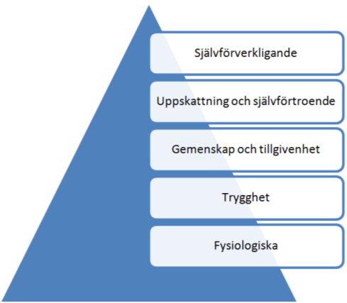 Just möjligheten att uppnå en naturlig motivation hos organisationens medarbetare är något som är väldigt centralt inom många HR-teorier och som det även forskats en hel del kring, exempelvis inom