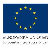 BILAGA 1 Problemträd (Situationsanalys) AcadEMic Power E F F E K Sida T 21 E R Påverkar barnens framtida studie- och yrkesval Leder till segregation Fast i bidragssystem, föräldraledig osv Tappad