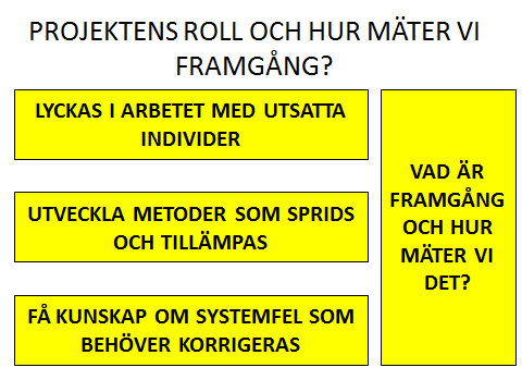 Därmed kan man också se att projektledarens roll inte bara handlar om att som inom ramen för samordningsförbundet 1.0 driva det enskilda projektet mot framgång.