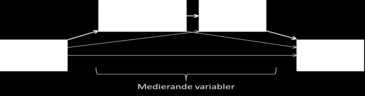 säkerhetsklimatet samt verksamhetens ledarskap (se t.ex. Clarke, 2013; Mullen, Kelloway & Teed, 2011; Zohar, 2002a).