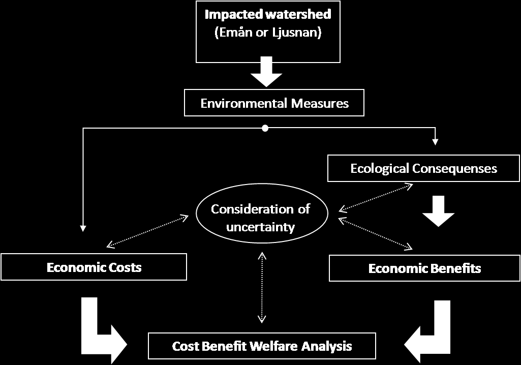 made it necessary to develop and apply a tool for quantifying population effects on migrating fish of establishing new fishways. Figure 8 The basic framework.