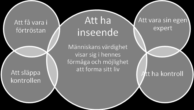 Figur 2. Illustration av resultatets två teman och hur de interagerar med innebörden av att ha inseende.