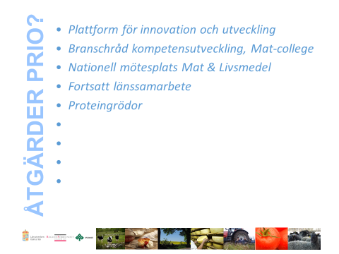 Strategin kommer att innehålla ett antal (5-10) prioriterade åtgärder. Utkastet till strategi lyfter just nu fram fem prioriterade åtgärder.