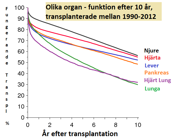 N J U R E Hur länge håller ett transplantat? Det går inte att svara på den frågan för en enskild individ eftersom förutsättningarna skiljer sig åt.