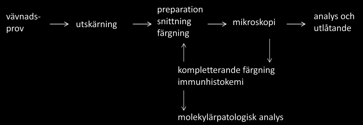 2.3 Processerna De vävnadsprov som kommer till patologavdelningarna måste förberedas prepareras innan granskning och analys kan genomföras så att en diagnos kan ställas.