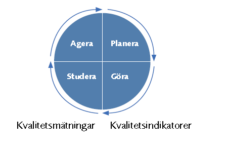 INTRODUKTION Stroke drabbar många och kräver stora resurser Stroke är samlingsnamnet för infarkt i hjärnan (ca 85 %), intracerebrala blödningar (ca 10 %) samt subaraknoidalblödningar (ca 5 %).