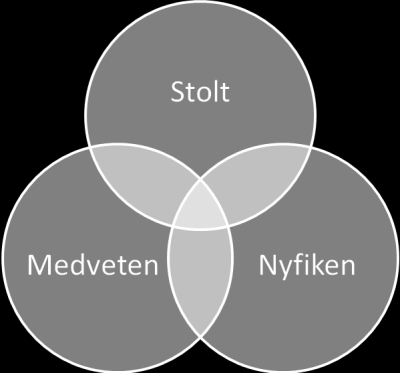 KÄRNVÄRDEN De värden/dimensioner som vägleder oss att uppfylla löftet Urban skärgårdsidyll och som inspirerar inriktningen på olika projekt som driver varumärket är: Betydelsen av Stolt Begreppet har