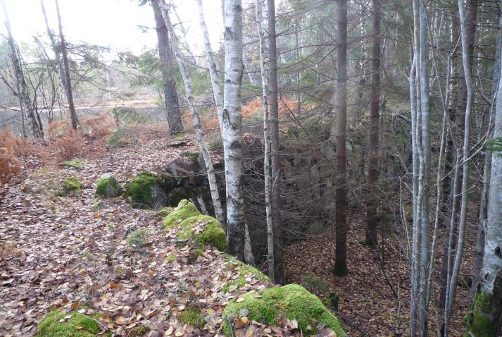 Österifrån Från Lövsjön grävdes en bred och djup kanal, som vid vissa ställen är flera meter djup, ner mot Dammkärret. Den kallas Ryssgraven, då den i folkmun anses grävd av ryska krigsfångar.