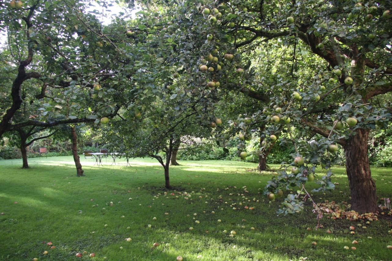 Årsredovisningen är upprättad av styrelsen för Brf Stadsparken i samarbete med Riksbyggen.