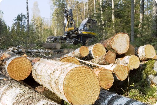 7. SKOGSBRUK Avverkningsmängden på samma nivå som tidigare Effektivitesmålen: skogarnas virkesproduktion är god nyttjandegraden av skogarnas virkesproduktion är hög skogsbruket är lönsamt Skogarnas