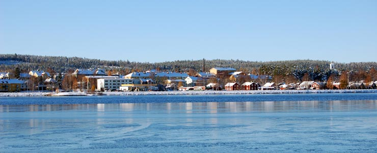 Innehållsförteckning: FÖRVALTNINGSBERÄTTELSE Omvärldsanalys 3 Befolkning, arbetsmarknad, demokrati och medborgarinflytande Väsentliga personalförhållanden 4 Personalens sammansättning, arbetsmiljö