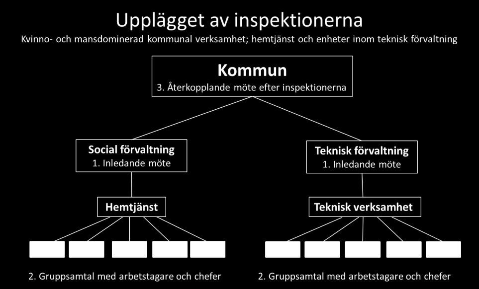 2014-04-28 REM 2012/100494 5 (22) Inspektionernas genomförande Figur 1 