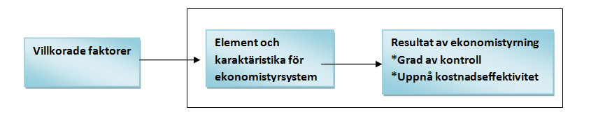 flera former av kontroll- och styrsystem. I de fall kontrollerna utformas och koordineras utifrån ett underliggande syfte kan systemet som helhet benämnas som ett ekonomistyrsystem.