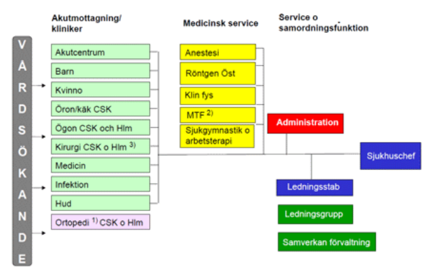 Figur 6.9. Organisationsstruktur (skane.se2) År 2010 startade CSK tillsammans med RCC Syd ett projekt för att förbättra vården för cancerpatienter.