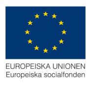 INBJUDAN Tid: Datum, tid och plats: - Tisdag, 12 februari 2013 - Klockan 14.00-16.30 - Kockum Fritid, V. Varvsgatan 8, Malmö OBS! Något förlängd tid!