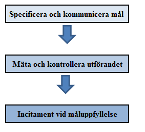 3.2 Verksamhetsstyrning Verksamhetsstyrning handlar om att motivera organisationens medlemmar att utföra aktiviteter som främjar organisationens strategi och mål.