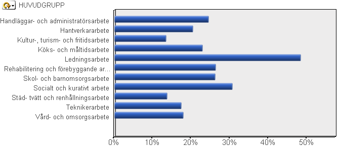 Personalomsättning per åldersgrupp, 2011.