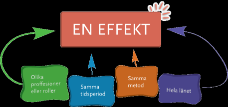 Projektteamet, vilka är vi? Poängen! Namn? Vilken kommun? Vilken uppgift har du? Hemlig talang! 13 14 Det som gör skillnad!