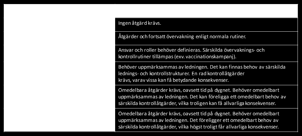 Figur 3. Exempel på riskamatris med gradering av risken.