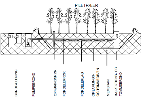 Figur 12. Energiskog för avloppsvattenrening (Thiel-Nielsen et al, 2005). 4.1.10 Torra dammar Torra dammar är nedsänkta gröna ytor som kan tillåtas svämmas över vid höga dagvattenflöden, se Figur 13.