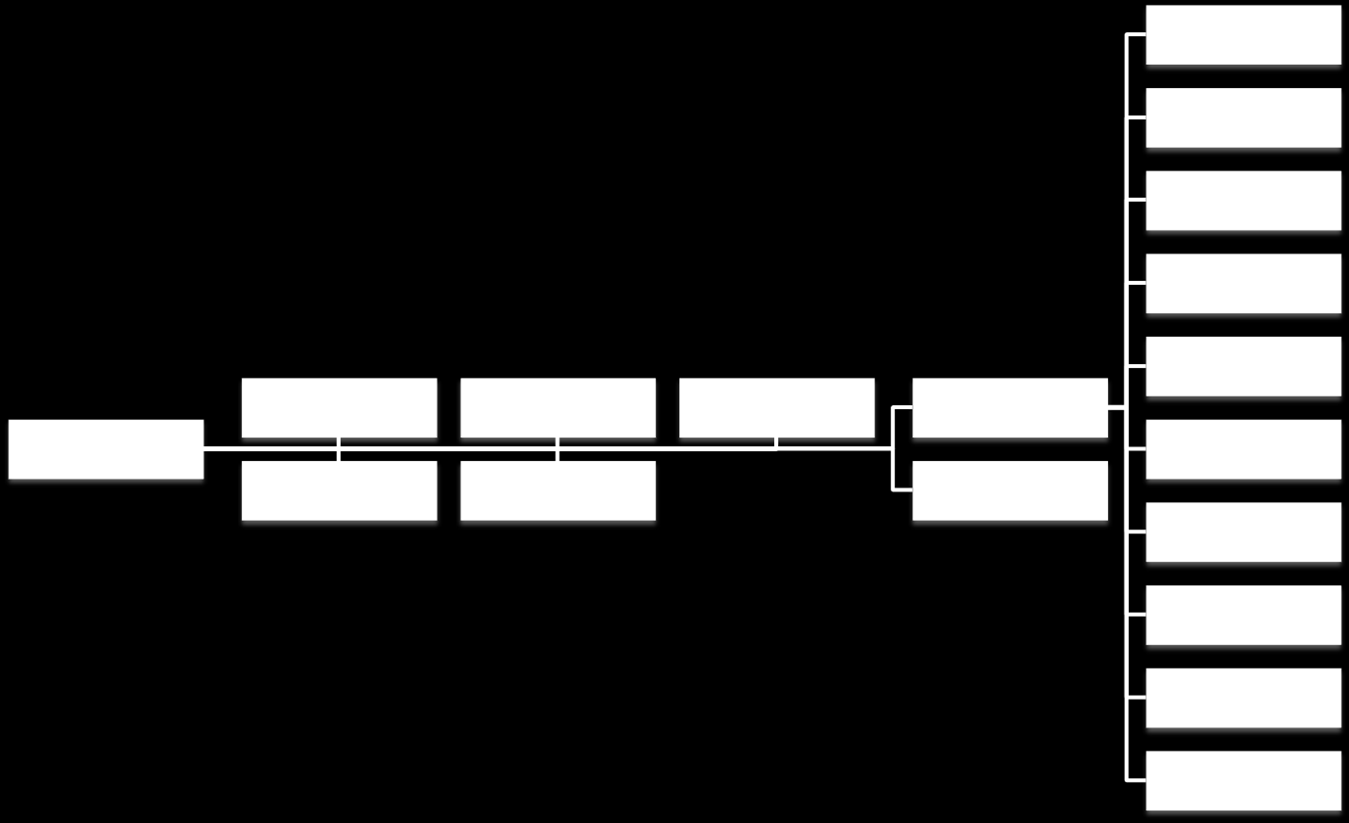 At the end of 2010 Medius also reorganized the company structure, coming into effect in 2011, to better fit their international activities.