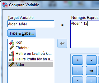 Välj Transform/Compute Variable Skriv in ett namn på den nya variabeln, detta görs i rutan Target Variable - jag kallade den nya variabeln: Ålder.