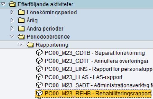 Rehabrapporten i menyn (SAP standard) Bra att veta om denna rapport: Programmet kan med