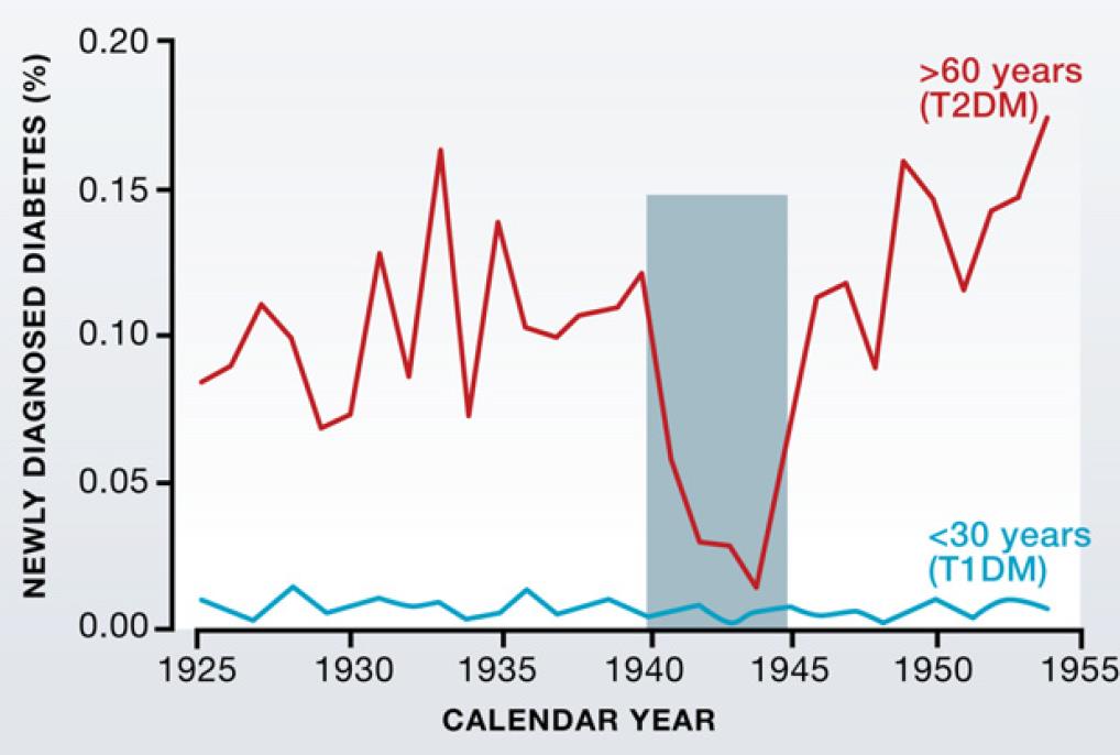 Nya fall av diabetes (% av befolkningen) Nydiagnosticerad diabetes i Norge 1925-55: - inte bara nackdelar
