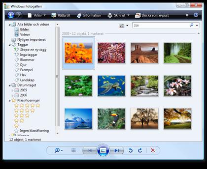 Markera kryssrutan om du vill ta bort de importerade bilderna från minneskortet När bilderna har importerats visas de i Fotogalleriet i Windows. Tips!
