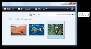 skriver in Djur, hittas alla bilder med en tagg som innehåller ordet "Djur". Om ordet "djur" även finns i filnamnet för en bild visas dessa filer också.