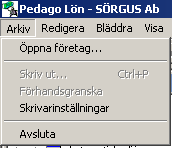 INTRODUKTION 13 Menyraden Kortkommandon för dessa menyalternativ är ALT + "understreckad bokstav" t ex ALT+A för Arkiv-menyn. Kortkommandon inom menyerna är sedan den understreckade bokstaven.