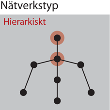 såsom MSBlaster, MyDoom och Sobig är specialskrivna för att skapa botnets. Modern informationsteknologi förenklar bearbetningsprocessen.