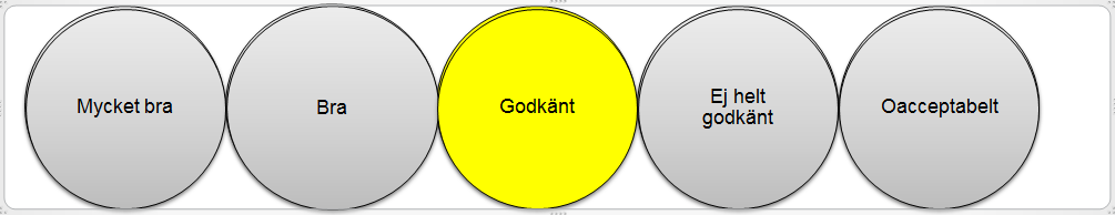 1. Sammanfattning Revisorerna har i revisionsplanen avsatt resurser för att granska den interna kontrollen enligt COSO-modellen.