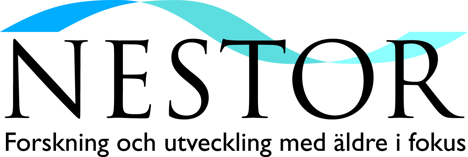 Avslutning och konklusion En nödvändig förutsättning för att den vård som ges skall bli patientsäker är tillgång till information om aktuell läkemedelsbehandling och tillgång till journalinformation.