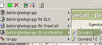BEHÖRIGHETER System med domäner: Klicka på ikonen för Ny behörighetsgrupp och välj Behörighetsgrupp för Porttelefon.