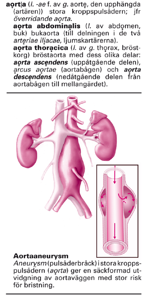 Medicinsk terminologi medicinsk terminologi Bengt I Lindskog 2008. Femte upplagan, 25 000 uppslagsord, 704 sidor, hårdband. Omslag: Urban Frank.