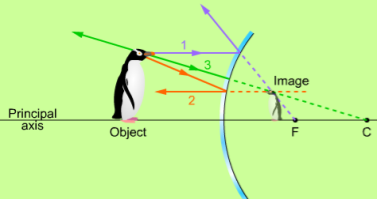 Stråldiagram för konvex spegel L 12 För den konvexa spegeln bildar vi bilden på motsvarande sätt som för den konkava spegeln: 1. En stråle dras från objektet parallellt med huvudaxeln.