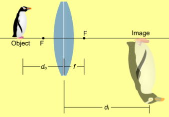 Linsekvationen L 13 Det finns också för linser en ekvation som ger förhållandet mellan objektets position a, bildens position b och brännvidden f. Den är exakt likadan som speglingsekvationen!