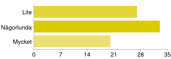 Eftersom att även denna fråga i enkätundersökningen var öppen så gav den oss en mängd olika svar. De flesta av respondenterna, 33 %, ansåg att makroekonomiska nyhetshändelser påverkade dem mest.