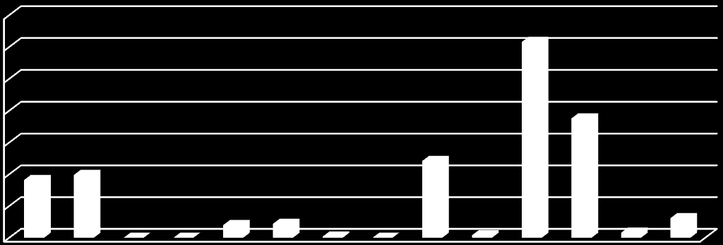 kvinnor med hijab (islam), två vikingar (asatro), Konfucius (konfucianismen) Jesus (representant för många världsreligioner). Av de 245 personerna kunde vi avgöra ålder på 205 människor.