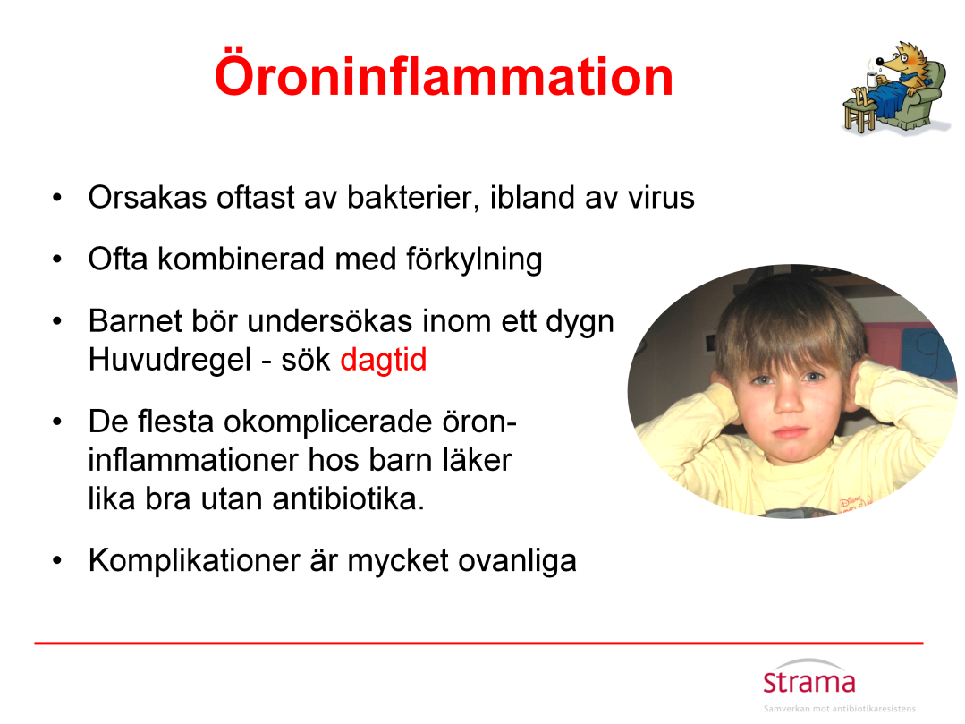 De vanligaste bakterierna som orsakar öroninflammation är Pneumokocker och Hemofilus influenzae.