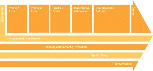 praktik på olika delar av företaget. Utbildningarna behandlar ofta projektledning och andra relevanta ämnen för kommande arbete. Programmen avslutas med en utlandspraktik.