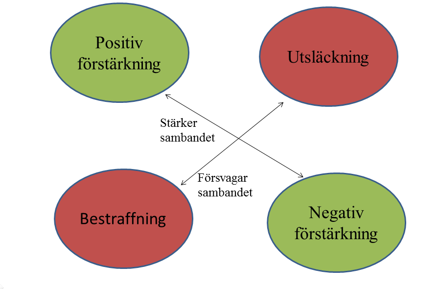 beteende som lett till de oönskade efterföljderna. Bestraffning kan delas i två olika typer: negativ och positiv. Bestraffningen är negativ när något som man tycker om tas bort.