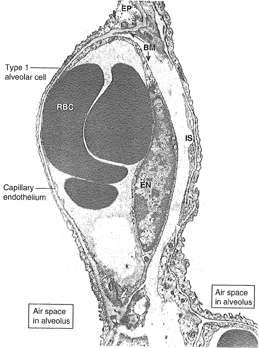 2012-10-01