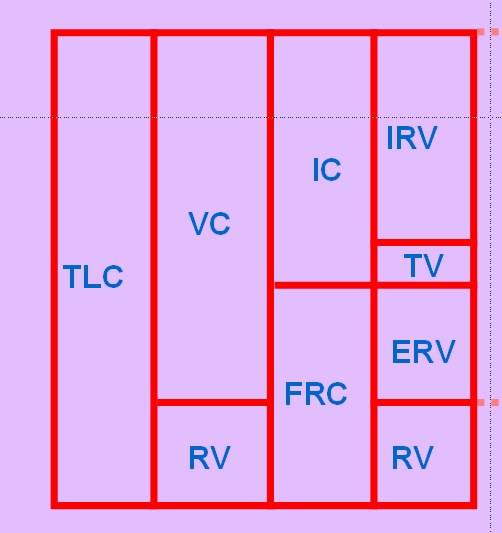 Funktionell residualkapacitet FRC (RV + ERV) Beskriv de olika