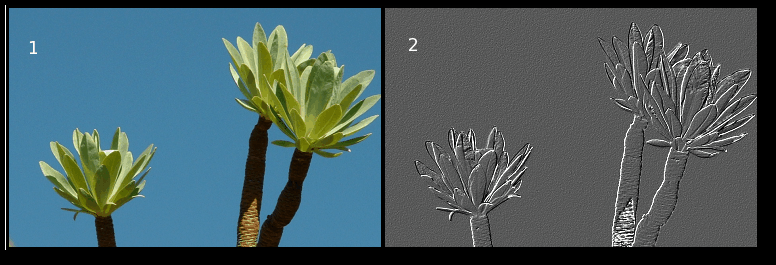 3.2.7.5 Inledning Filtret Relief i digikam är ett snabbt verktyg för att rita upp bilder med en tredimensionell effekt.