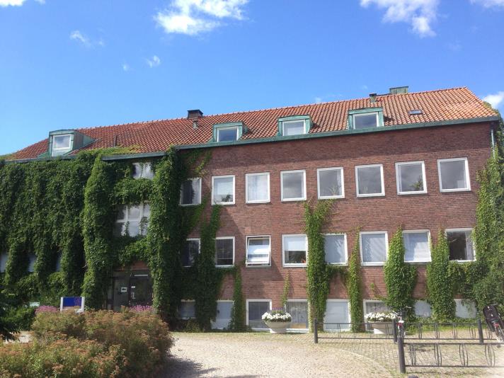 Allmän studievägledning LU -Vad kan jag välja utifrån mina intressen? - Läsa program eller kurser? Innehåll? - Vad krävs för att söka en viss utbildning? - Ska jag byta inriktning? - Sen anmälan?