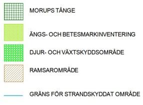 Förutsättningar Naturmiljö Stränderna i väster Morups tånge, naturreservat och Natura2000-område, innefattar även ett djur- och växtskyddsområde samt ett område som ingått i ängsoch