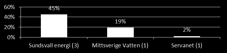 Samverkan Sundsvall energi med 100 anställda lägger nästan 0,3 årsarbetskrafter på samverkan (fördelat på två medarbetare) och Mittsverige Vatten har en medarbetare som fokuserar 16 % av sin